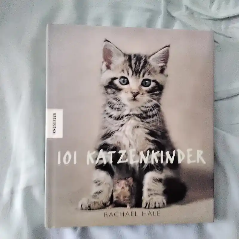 Lage Prijs 101 katzenkinder - Rachel hale