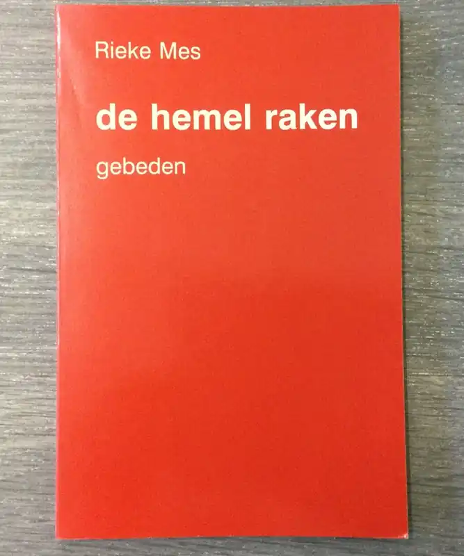 De hemel raken - Rieke Mes Flitsaanbieding