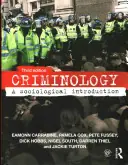 Criminology A sociological introduction - Eamonn Carrabine Exclusieve Aanbieding