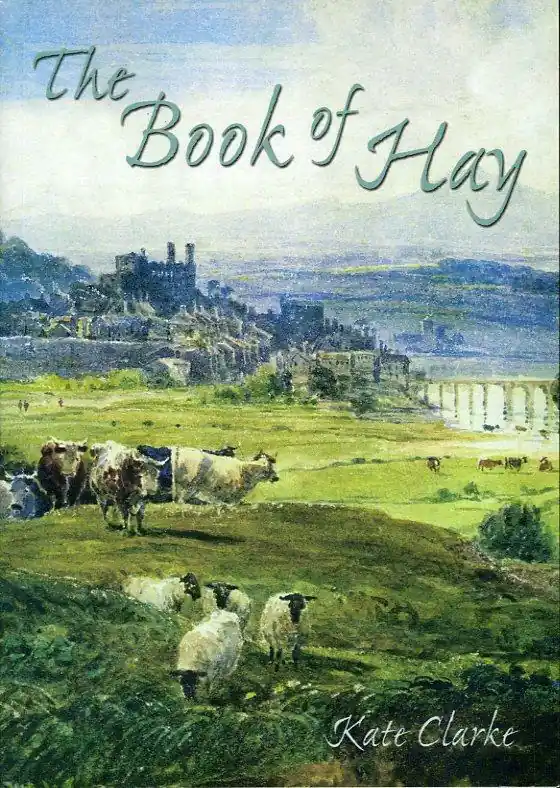 Snelle Levering Book of Hay - Kate Clarke