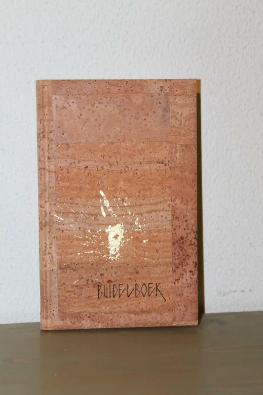 Buidelboek - Harrie Knoors Koop Vandaag