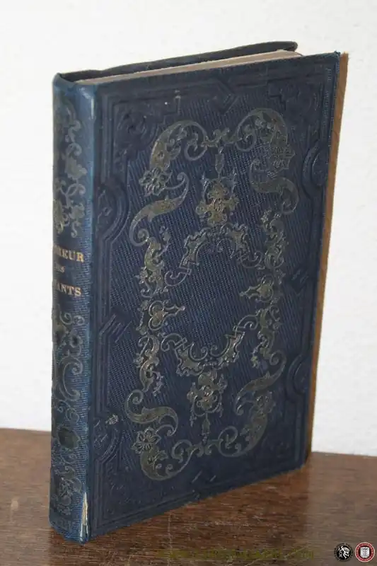 Nieuw Le bonheur des enfants. Contes, historiettes et scenes enfantines pour l'amusement et l'instruction des petites filles et des petits garcons. - MIRVAL, CH. de (Jean-Baptiste-Joseph Champagnac)
