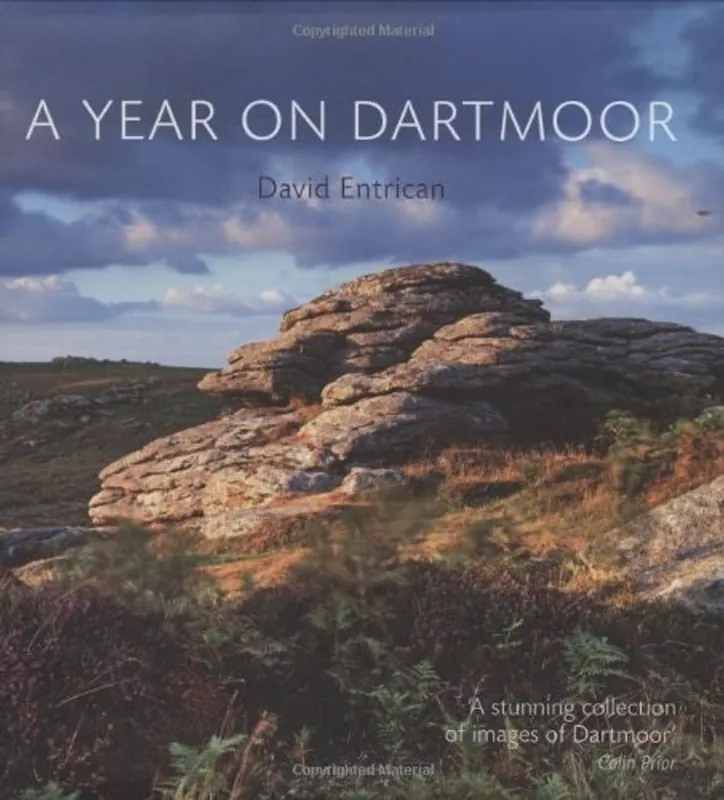 Nu Kopen Year on Dartmoor - DAVID ENTRICAN