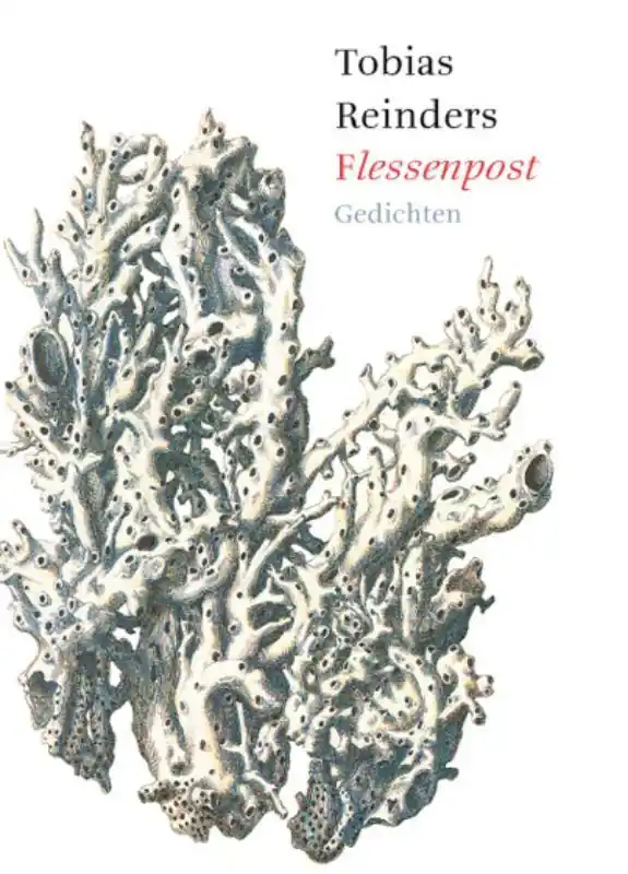 Lage Prijs Flessenpost - Tobias Reijnders