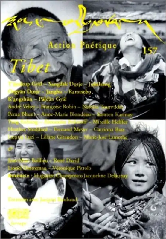 Laatste Kans Tibet aujourd'hui - Collectif