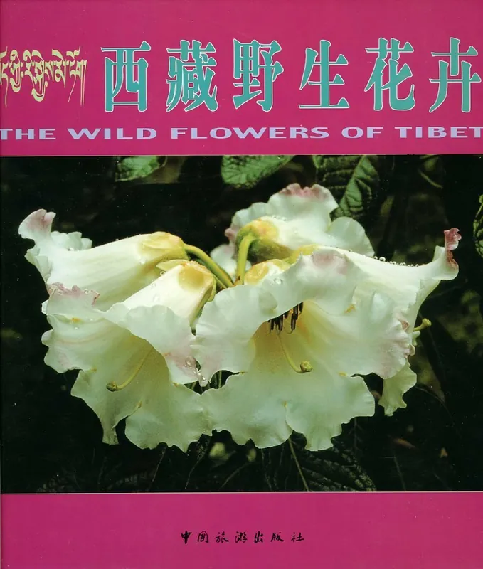 Express Levering Hsi-tsang yeh sheng hua hui = - Feng-Xiang Xu