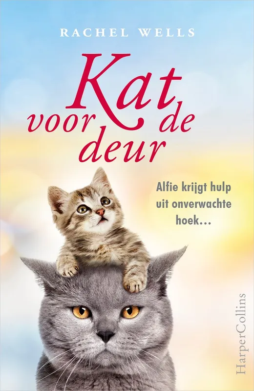 Koopje Kat voor de deur - Rachel Wells
