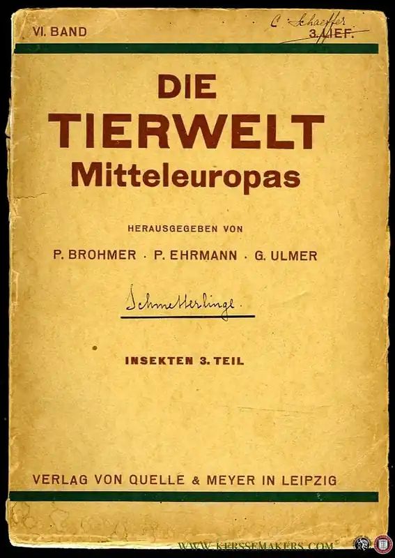 Korting Die Tierwelt Mitteleuropas VI. Band. Insekten 3. Teil, 3. Lieferung - BROHMER, P. / EHRMANN, P. / ULMER, G. (herausgegeben von)