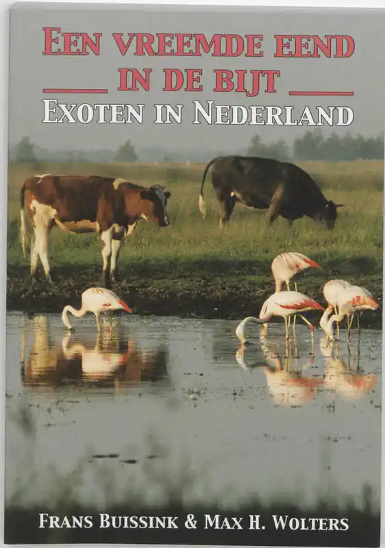 Een vreemde eend in de bijt - F. Buissink; M.H. Wolters Koopje