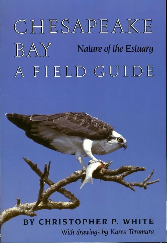 Op = Op Chesapeake Bay - Christopher P. White