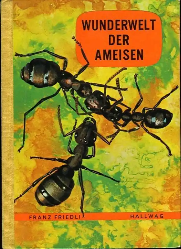Wunderwelt der Ameisen - FRIEDLI, Franz Exclusieve Aanbieding