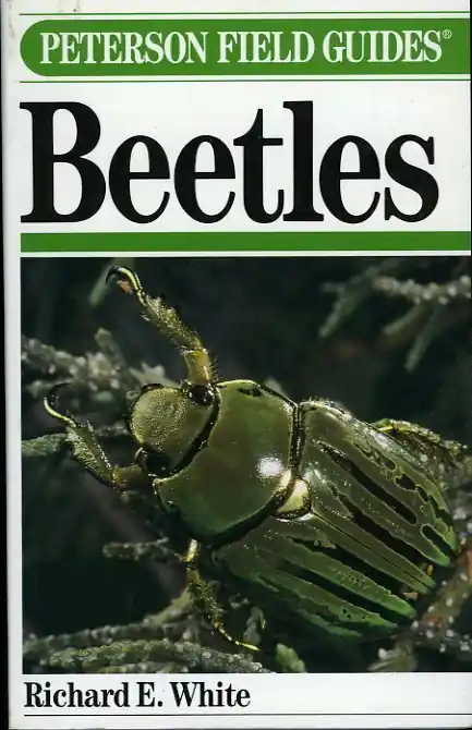 Hete Deal Peterson Field Guide(R) to Beetles - Richard E. White