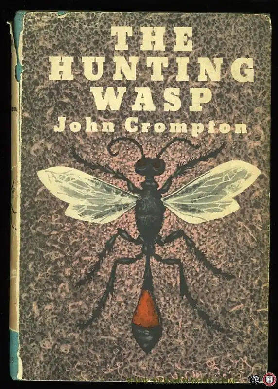 Betrouwbaar The Hunting Wasp - CROMPTON, john