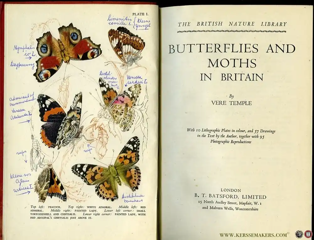 Gereduceerde Prijs Butterflies and Moths in Britain. With 10 Lithographic Plates in colour, and 57 Drawings in the Text by the Author, together with 95 Photografic reproductions. - TEMPLE, Vere