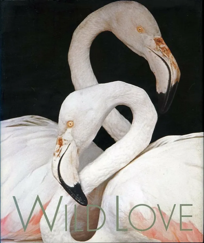 Wild Love - Richardson, Nan, Chermayeff, Catherine Snelle Levering