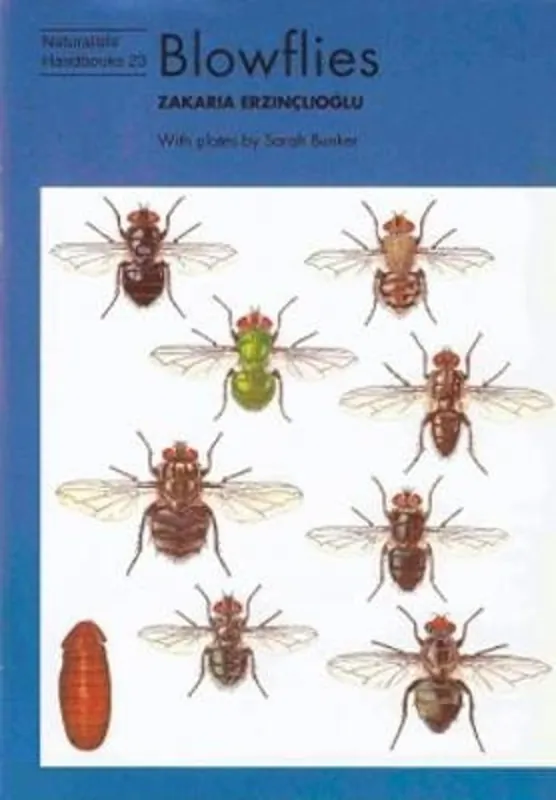 Beste Prijs Blowflies - Zakaria Erzinclioglu
