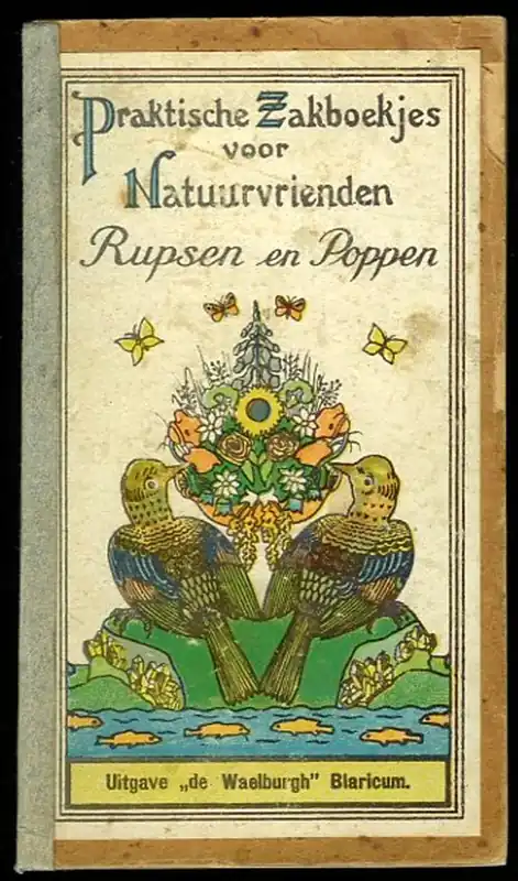 Rupsen en poppen - Aa Aanbieding