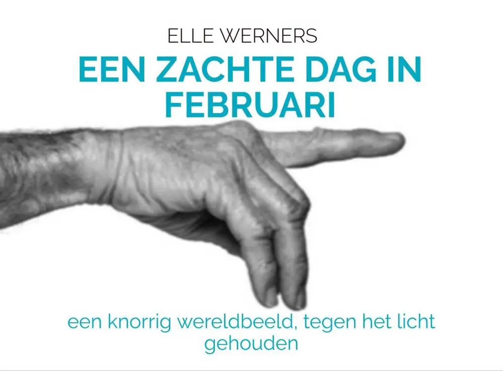 Flitsaanbieding EEN ZACHTE DAG IN FEBRUARI / Druk 1
