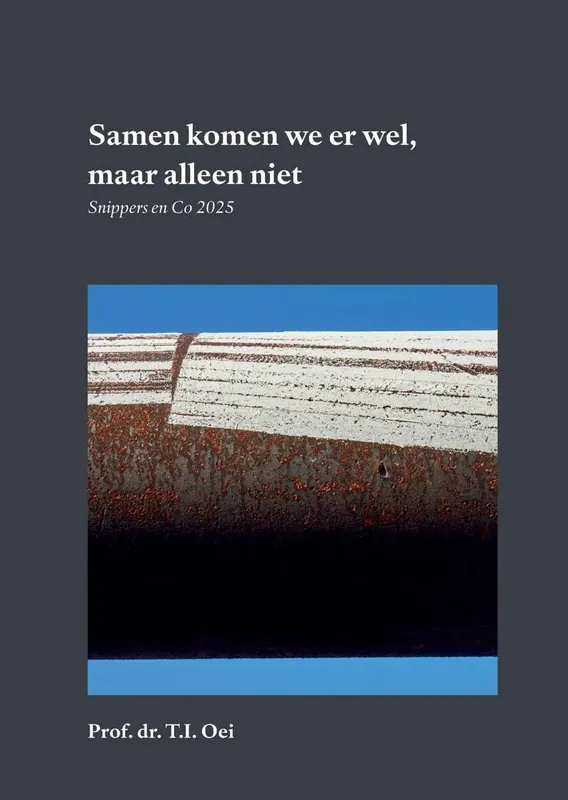 Samen komen we er wel / Druk 1 Express Levering