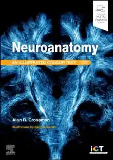 Populair Neuroanatomy / 7th edition