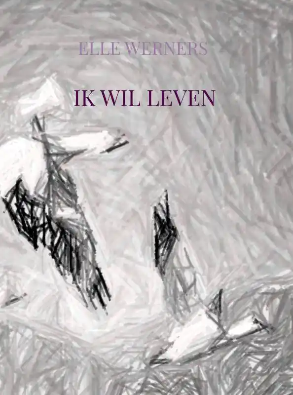 HERRIE IN DE KEET / Druk 1 Favoriet