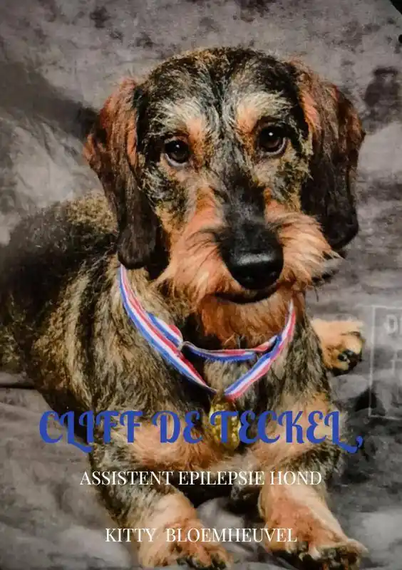 Dagaanbieding Cliff de Teckel, een hond van goud / Druk 1