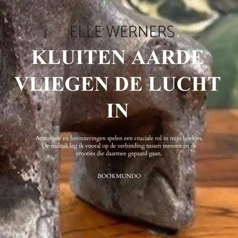 KLUITEN AARDE VLIEGEN DE LUCHT IN / 1st Edition Premium