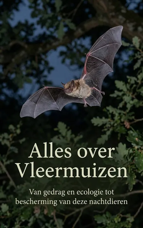 Alles over Vleermuizen / Druk 1 Koop Online