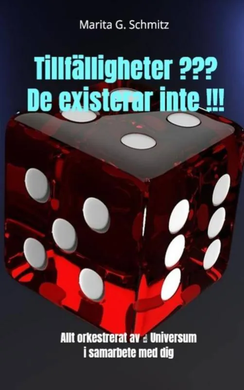 Tillfälligheter ??? De existerar inte !!! / 1 Edition Beste Prijs