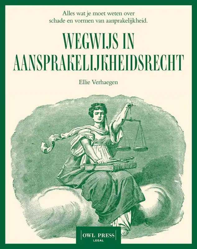Populair Wegwijs in aansprakelijkheidsrecht / Druk 1