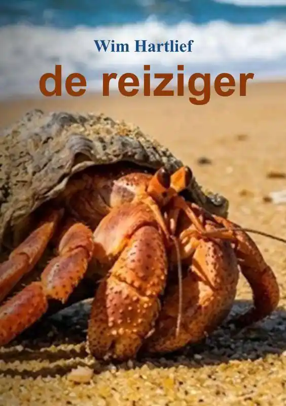 de reiziger / Druk 1 Direct Beschikbaar