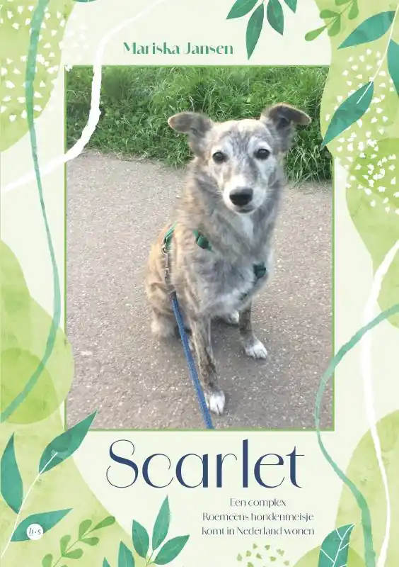 Gratis Retour Scarlet / Druk 1
