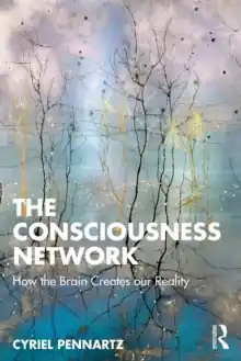 Must-Have The Consciousness Network : How the Brain Creates our Reality
